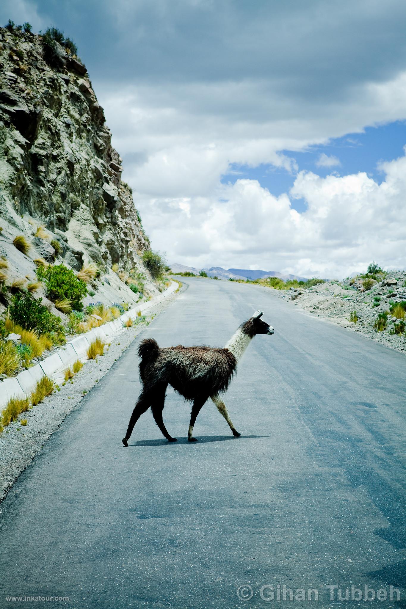 Photo of Peru