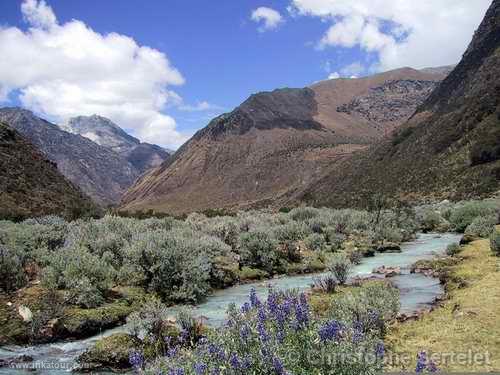 White Cordillera