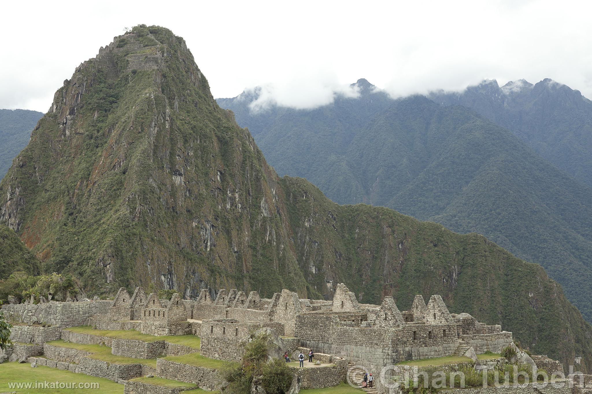 Citadel of Machu Picchu