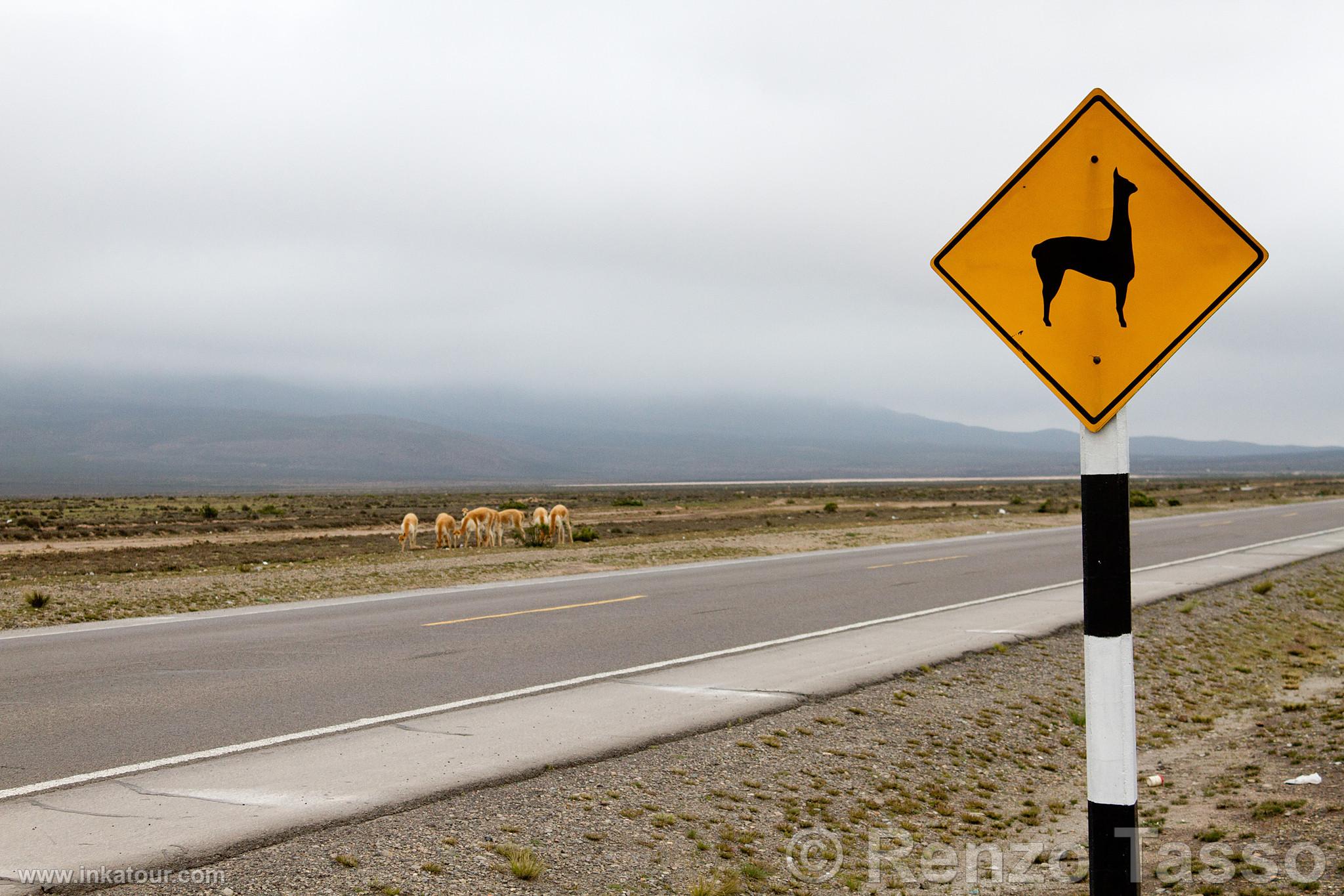 Photo of Peru