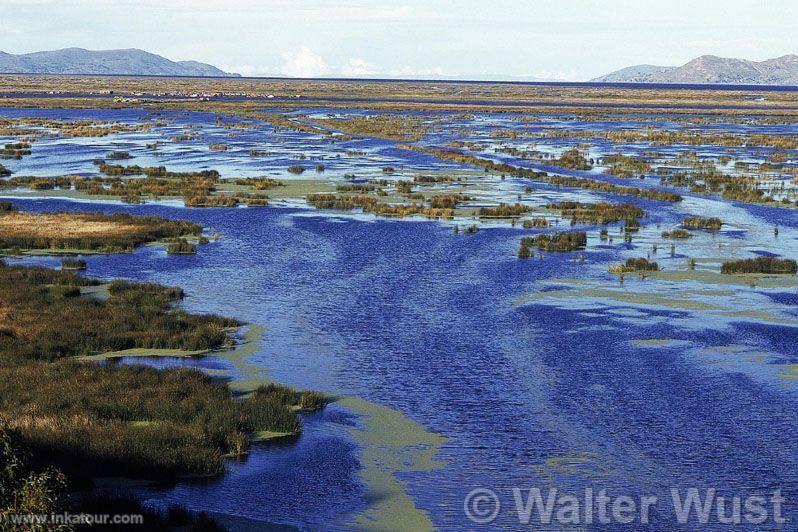 Titicaca Lake