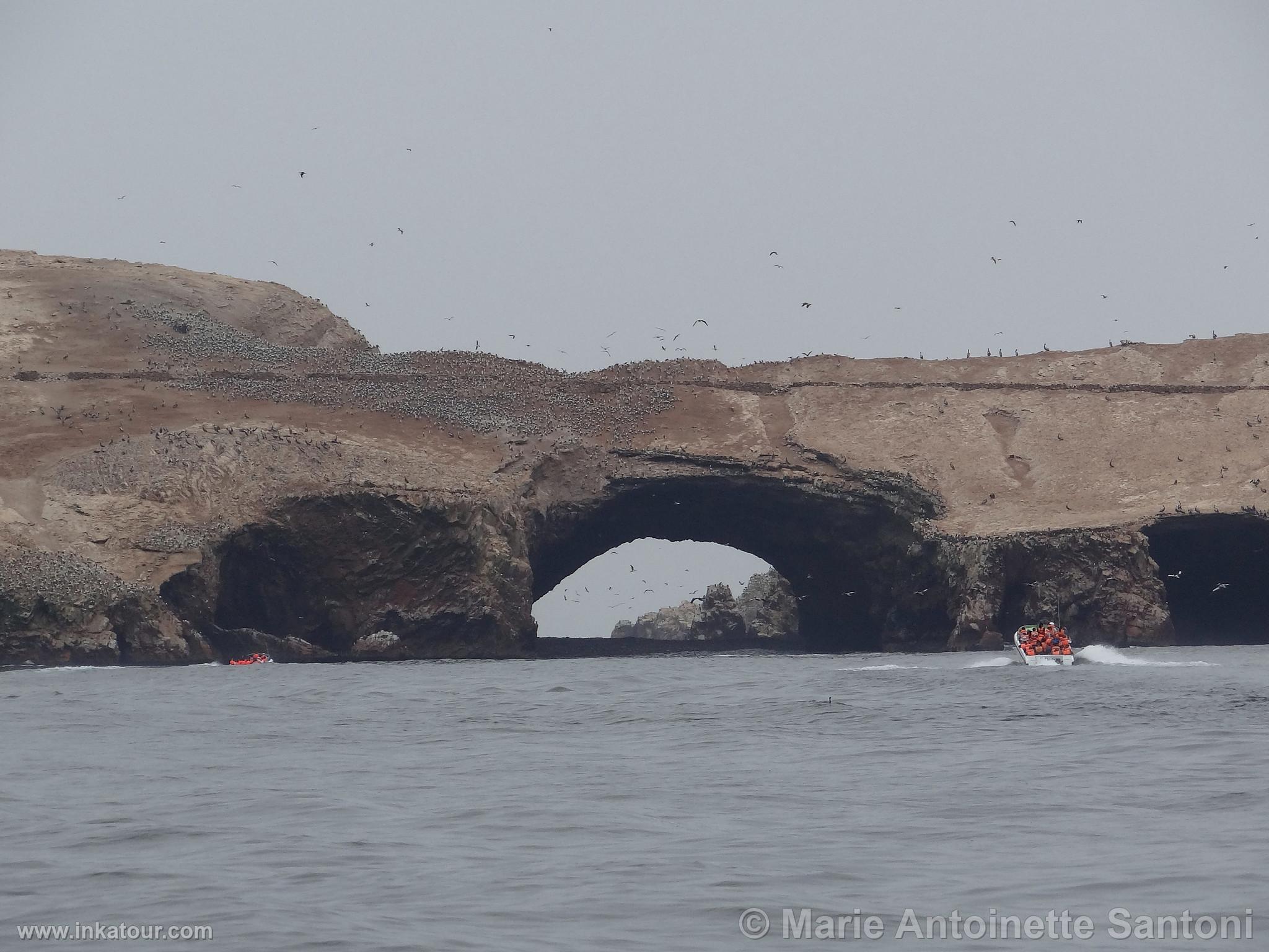 Ballestas, Paracas