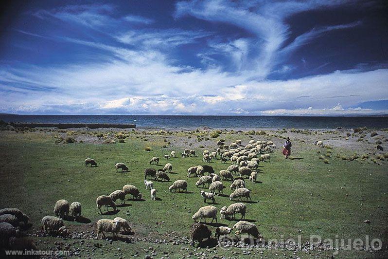 Photo of Peru