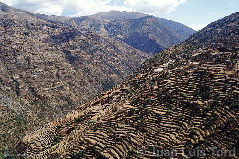 Photo of Peru