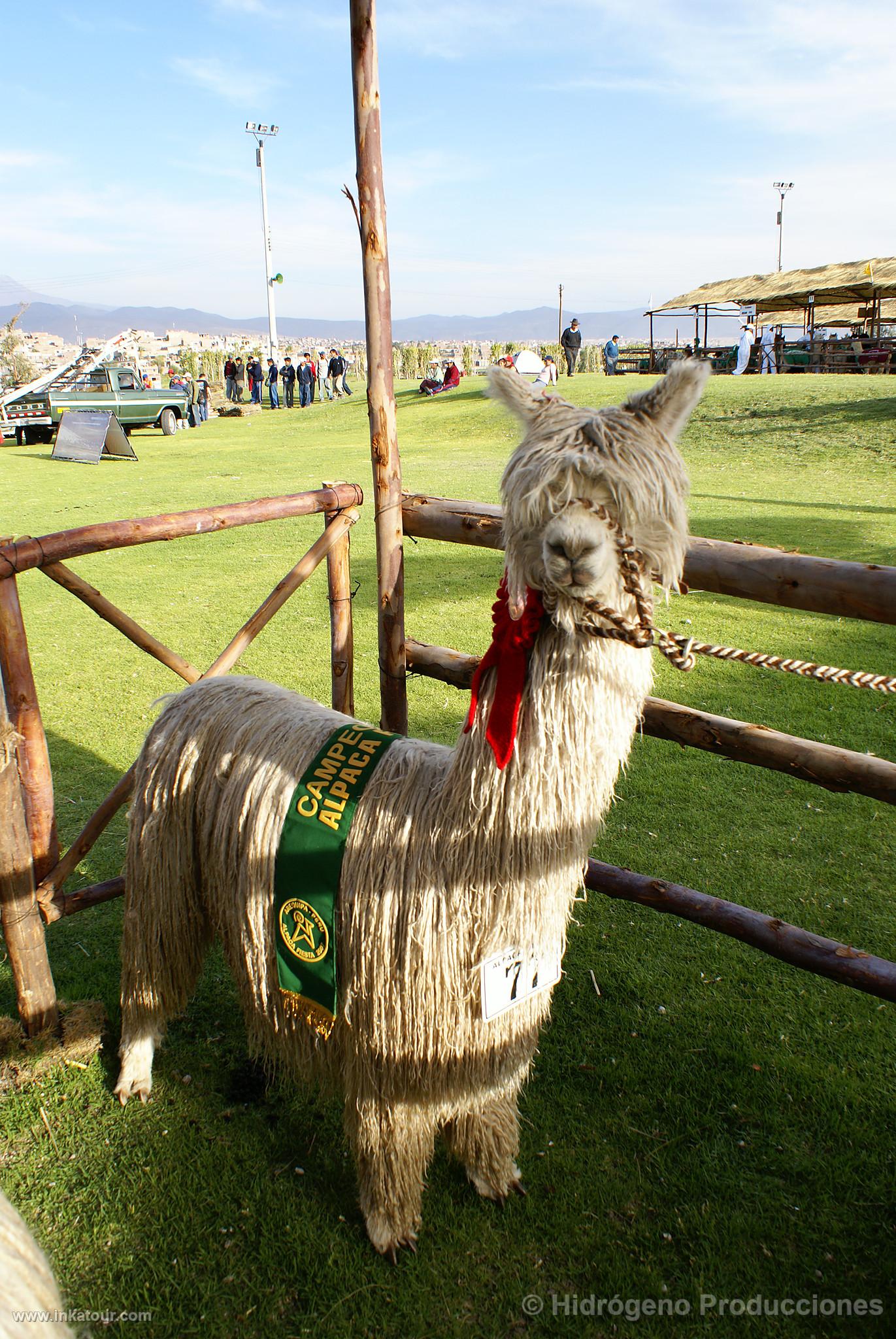 Photo of Peru