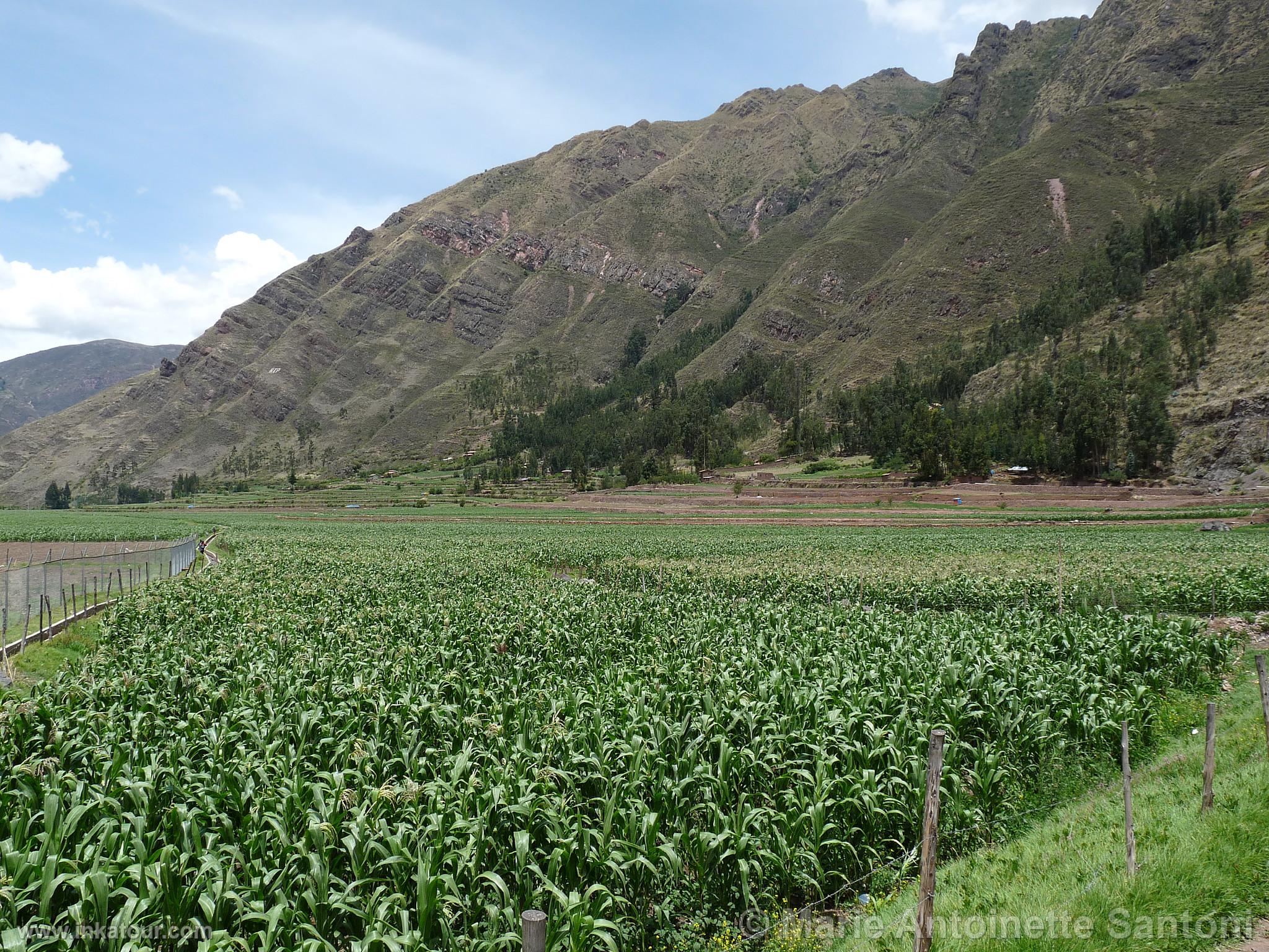 Photo of Peru