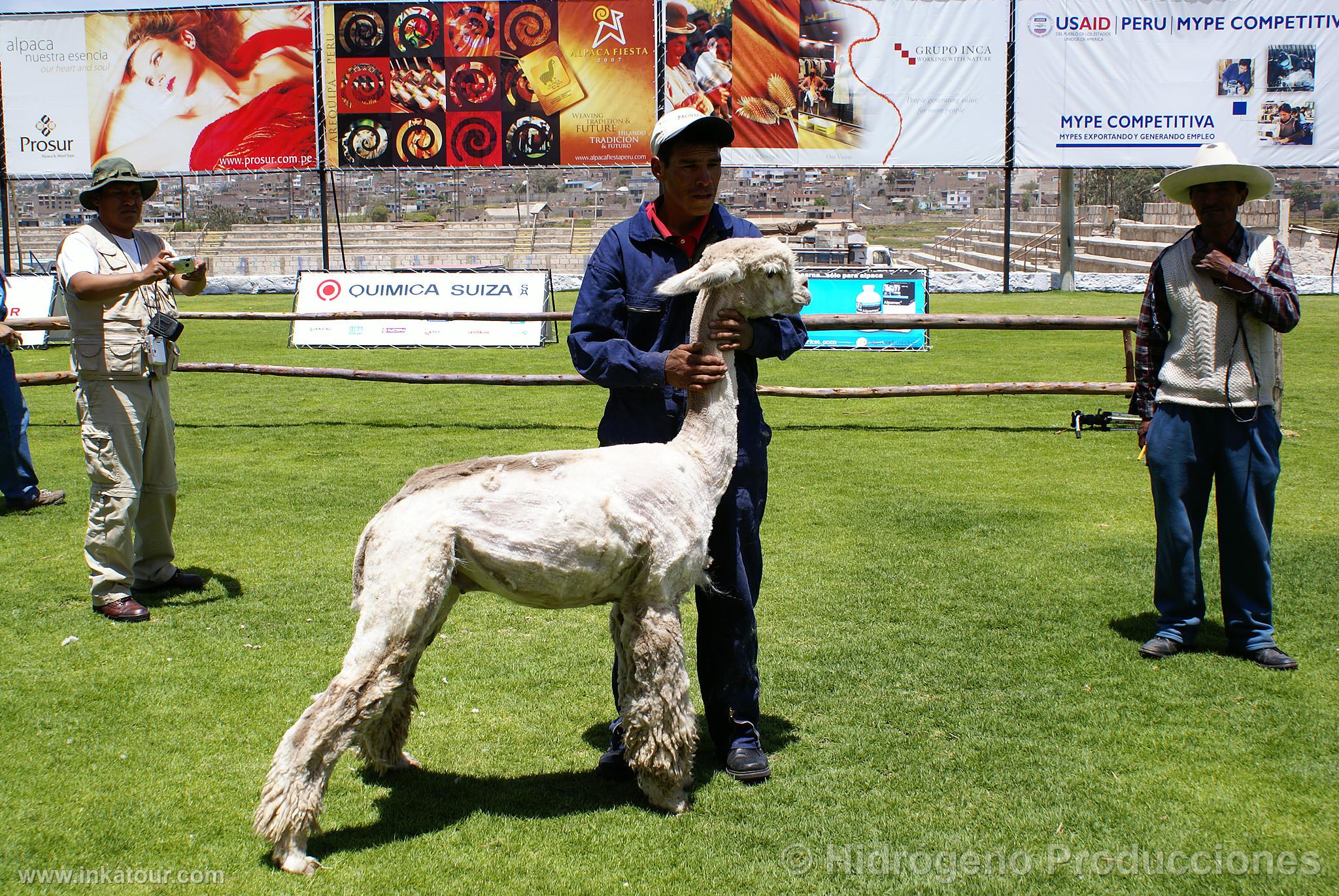 Photo of Peru