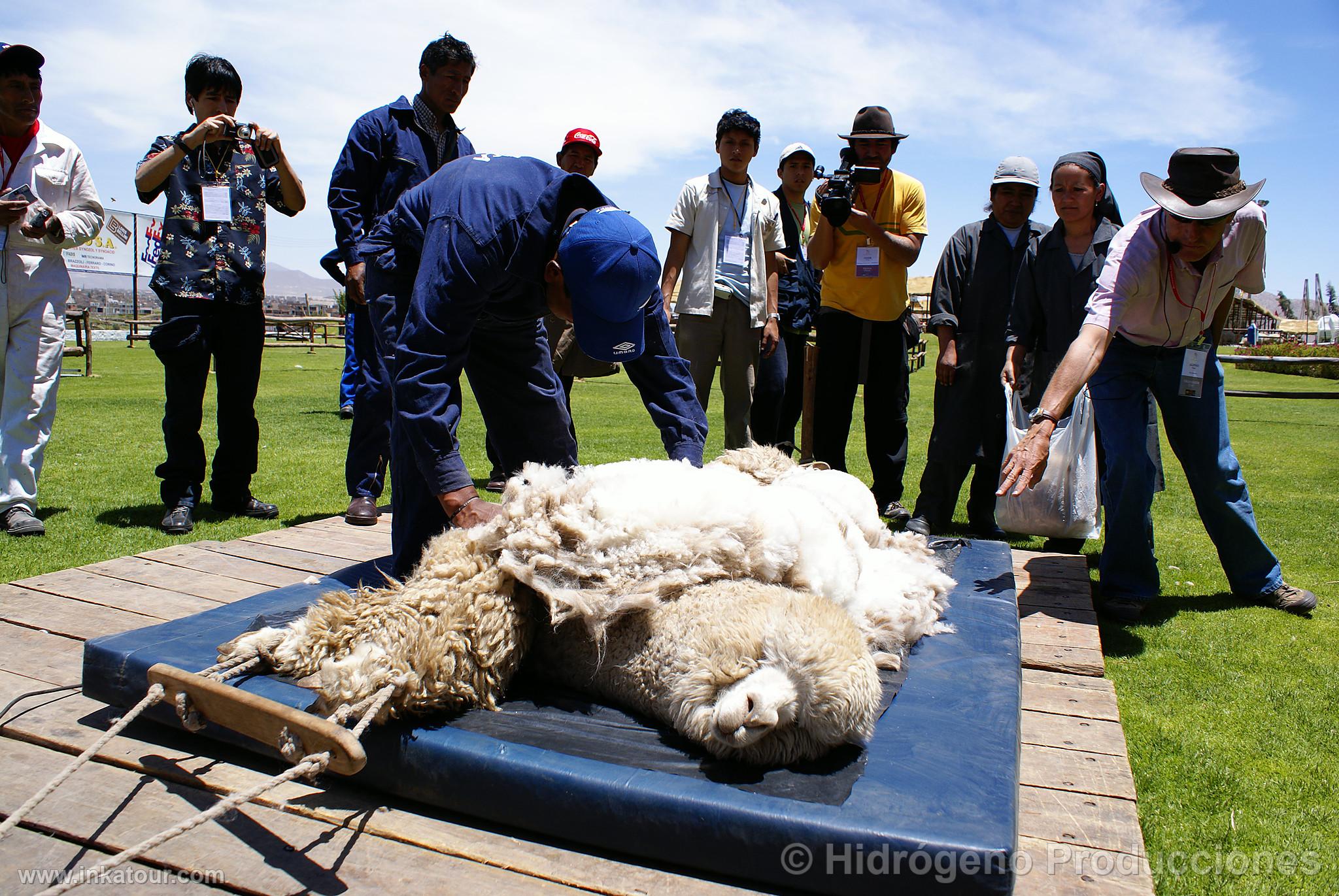 Photo of Peru