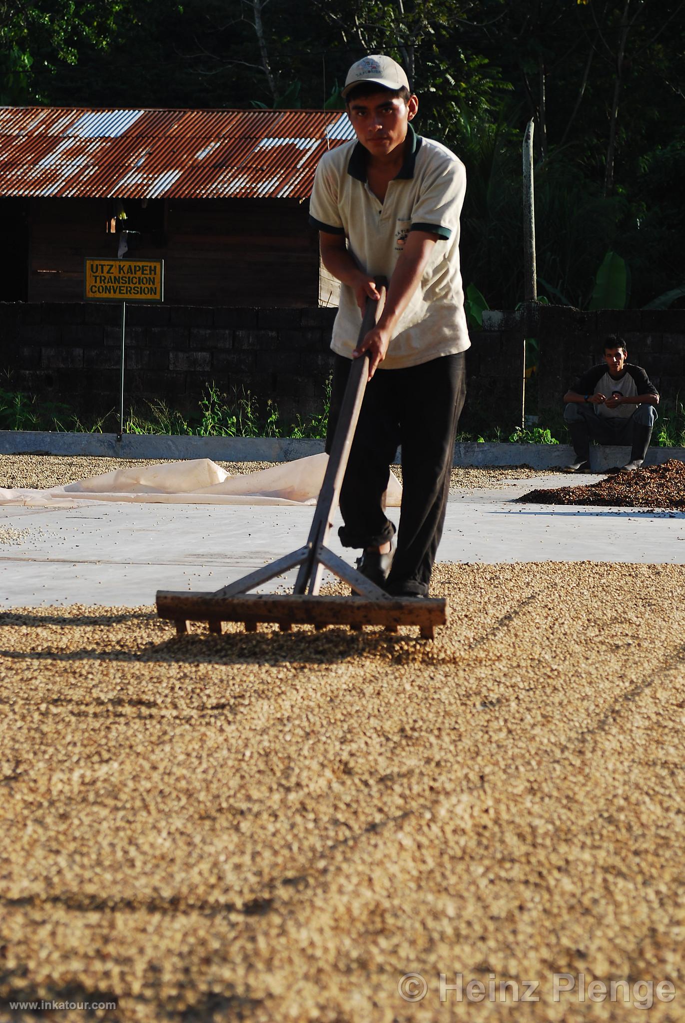 Photo of Peru