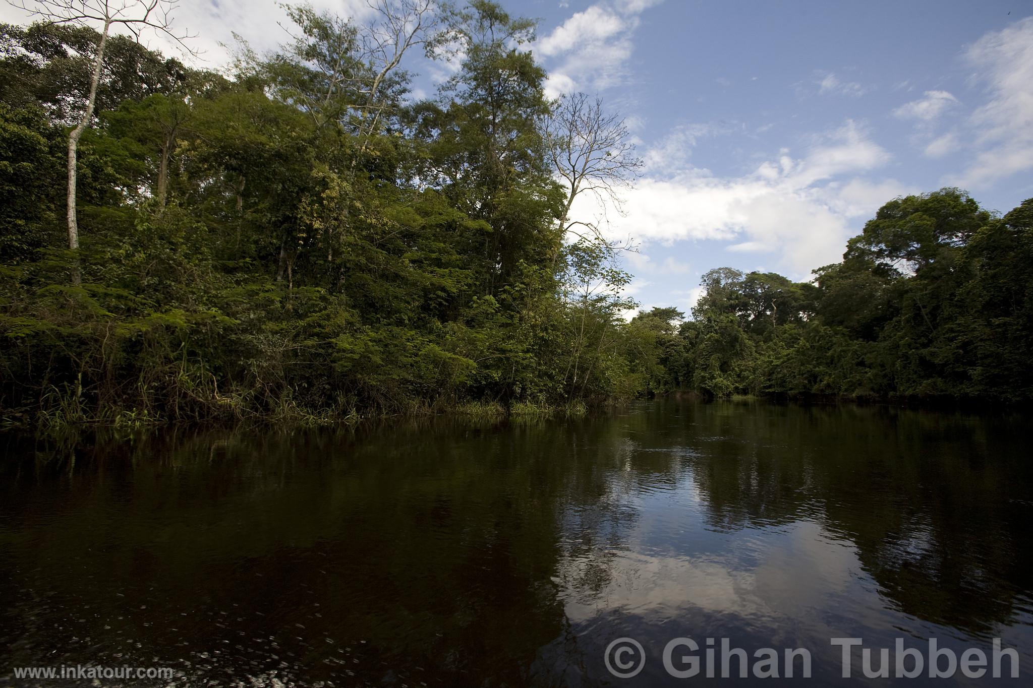 Yanayacu River