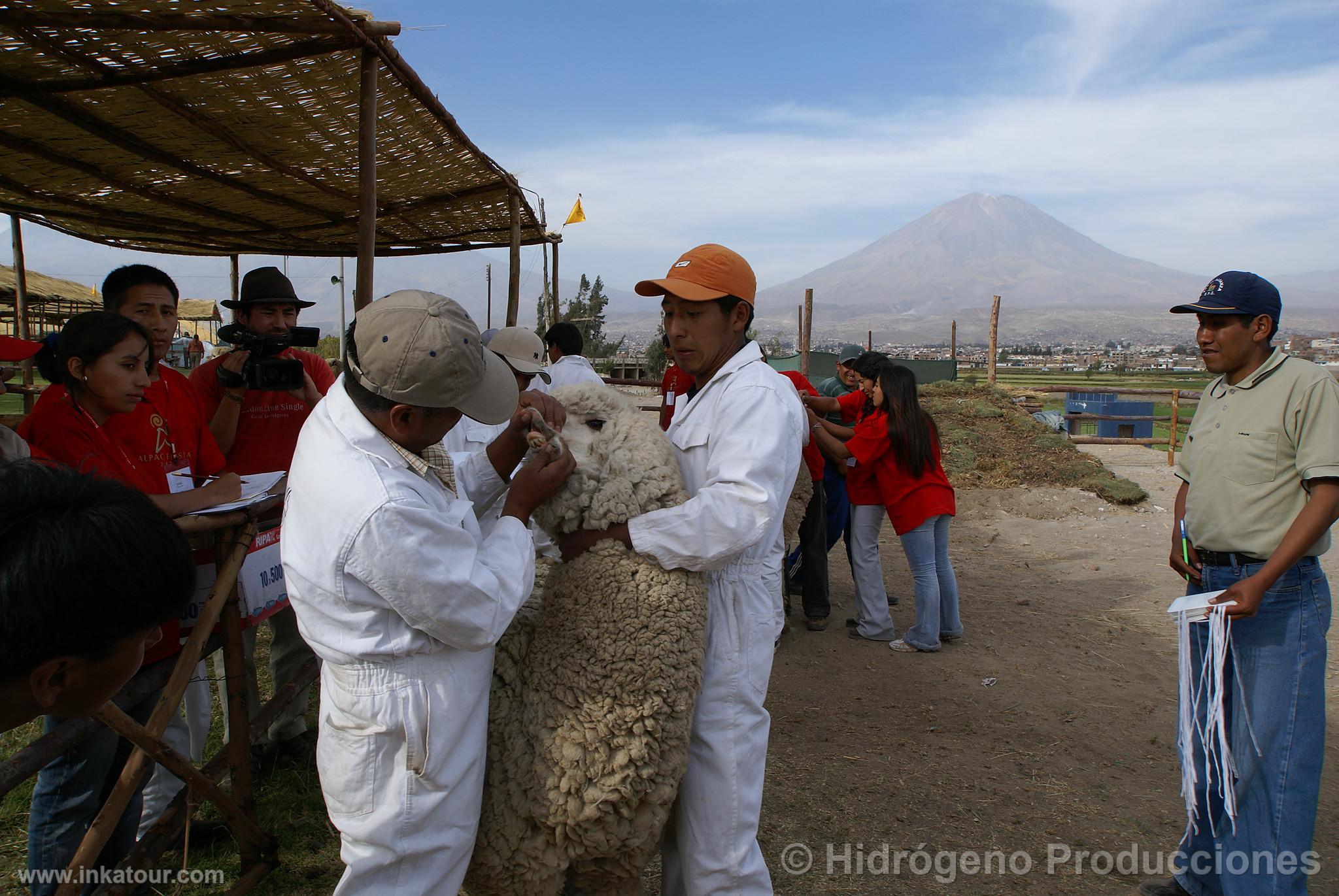 Photo of Peru