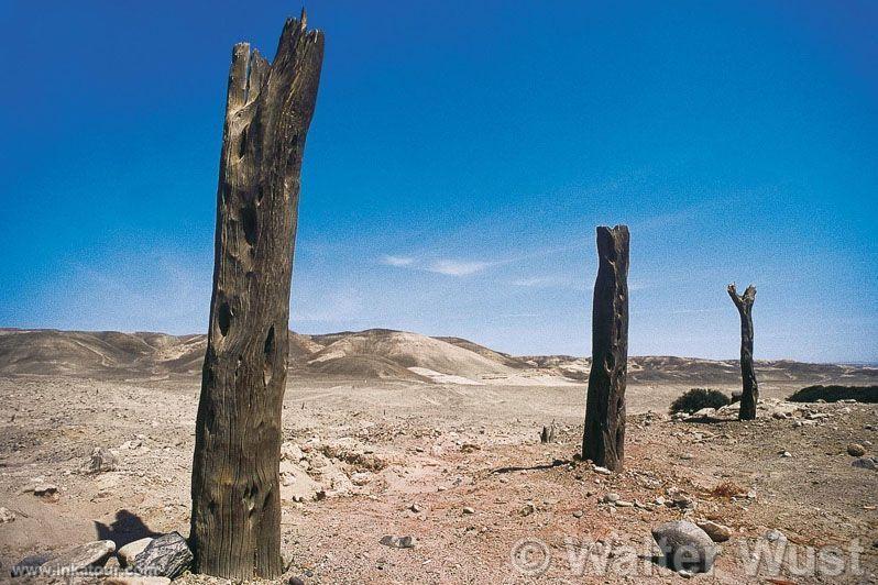 Photo of Peru