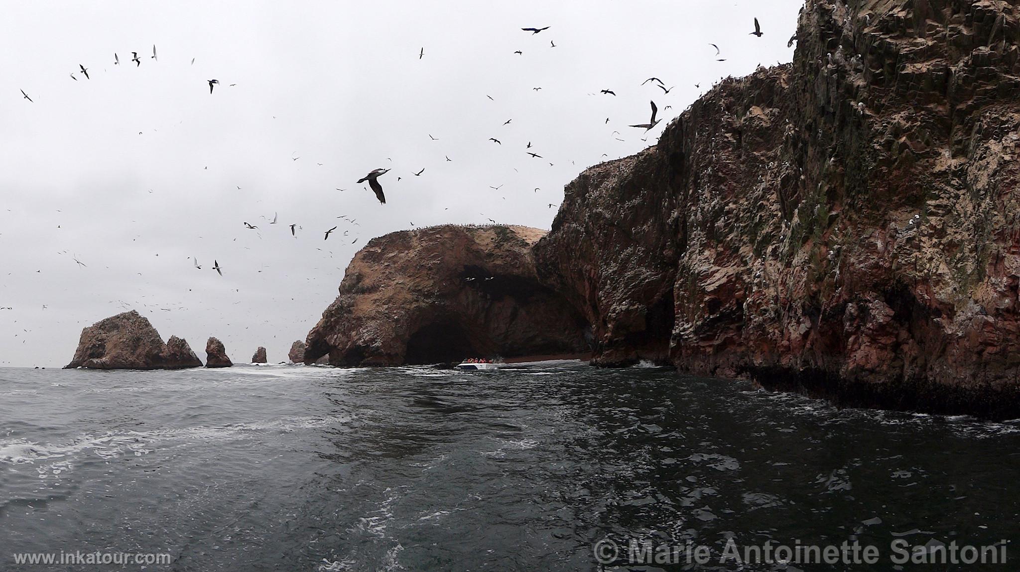 Ballestas, Paracas