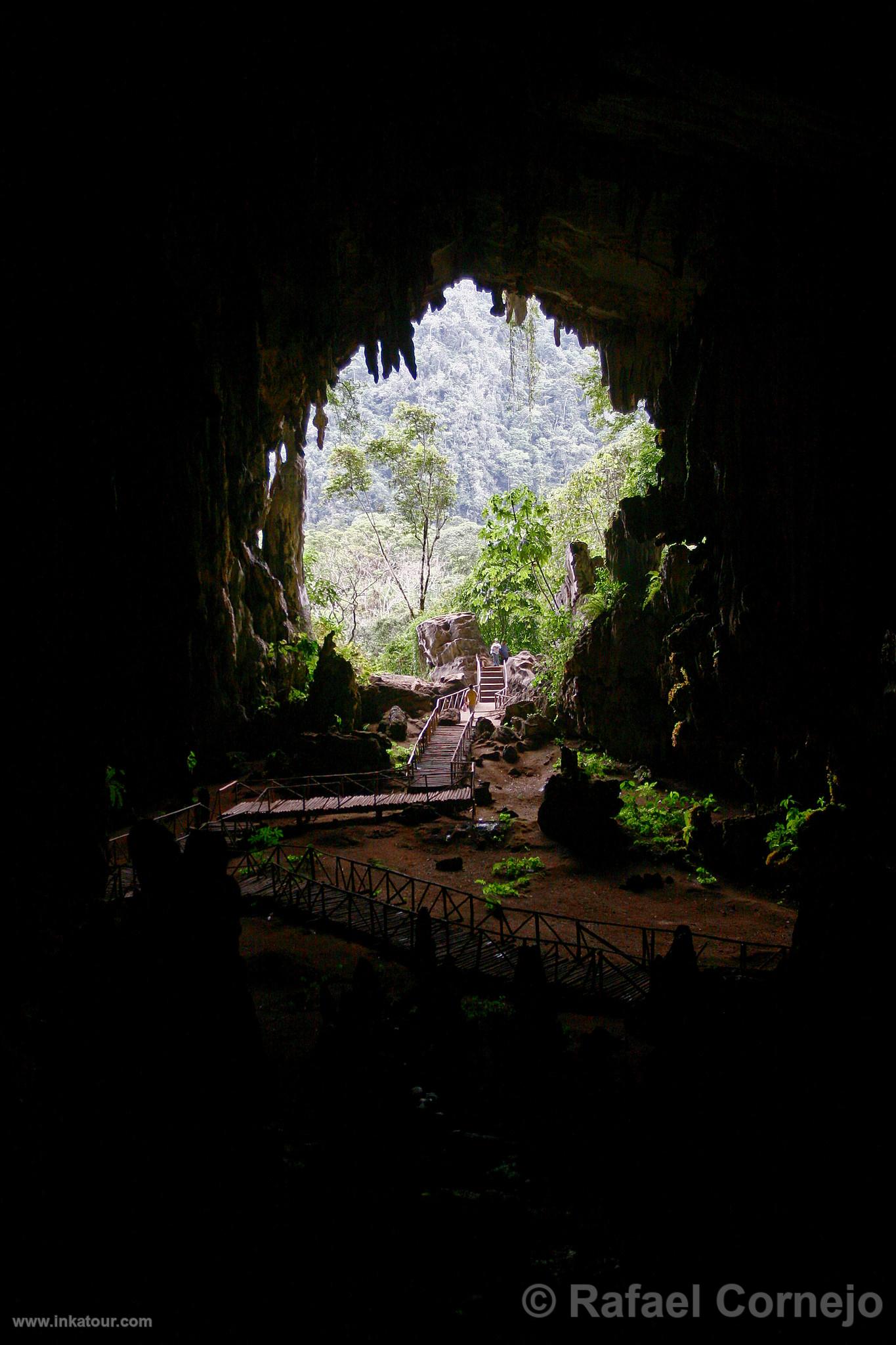 Cave of the Owls, Tingo Mara