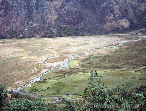 White Cordillera