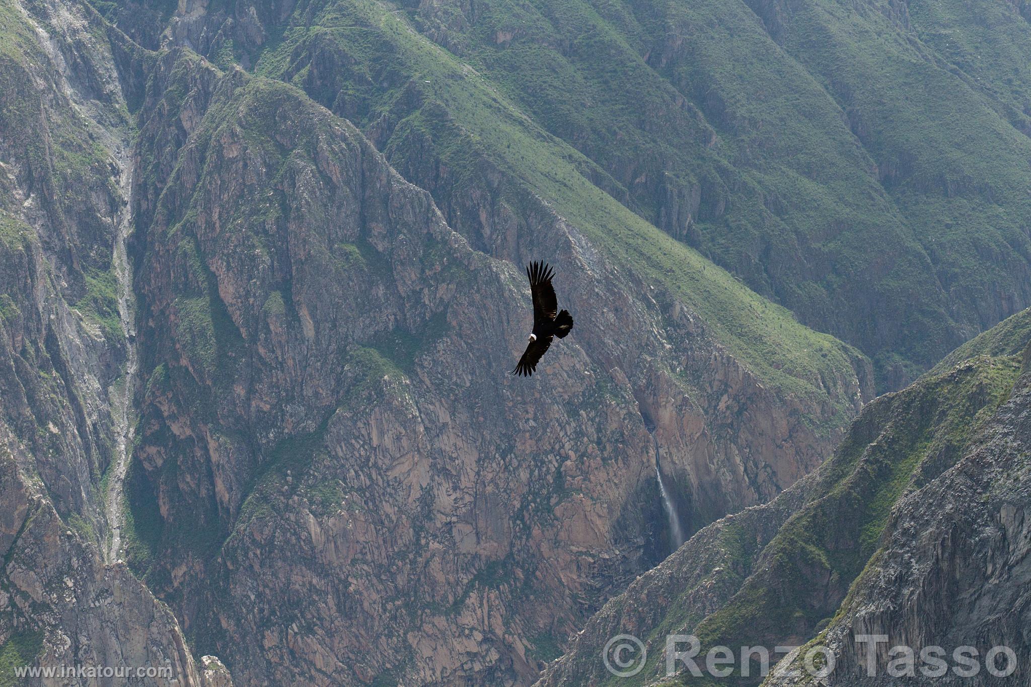 Photo of Peru