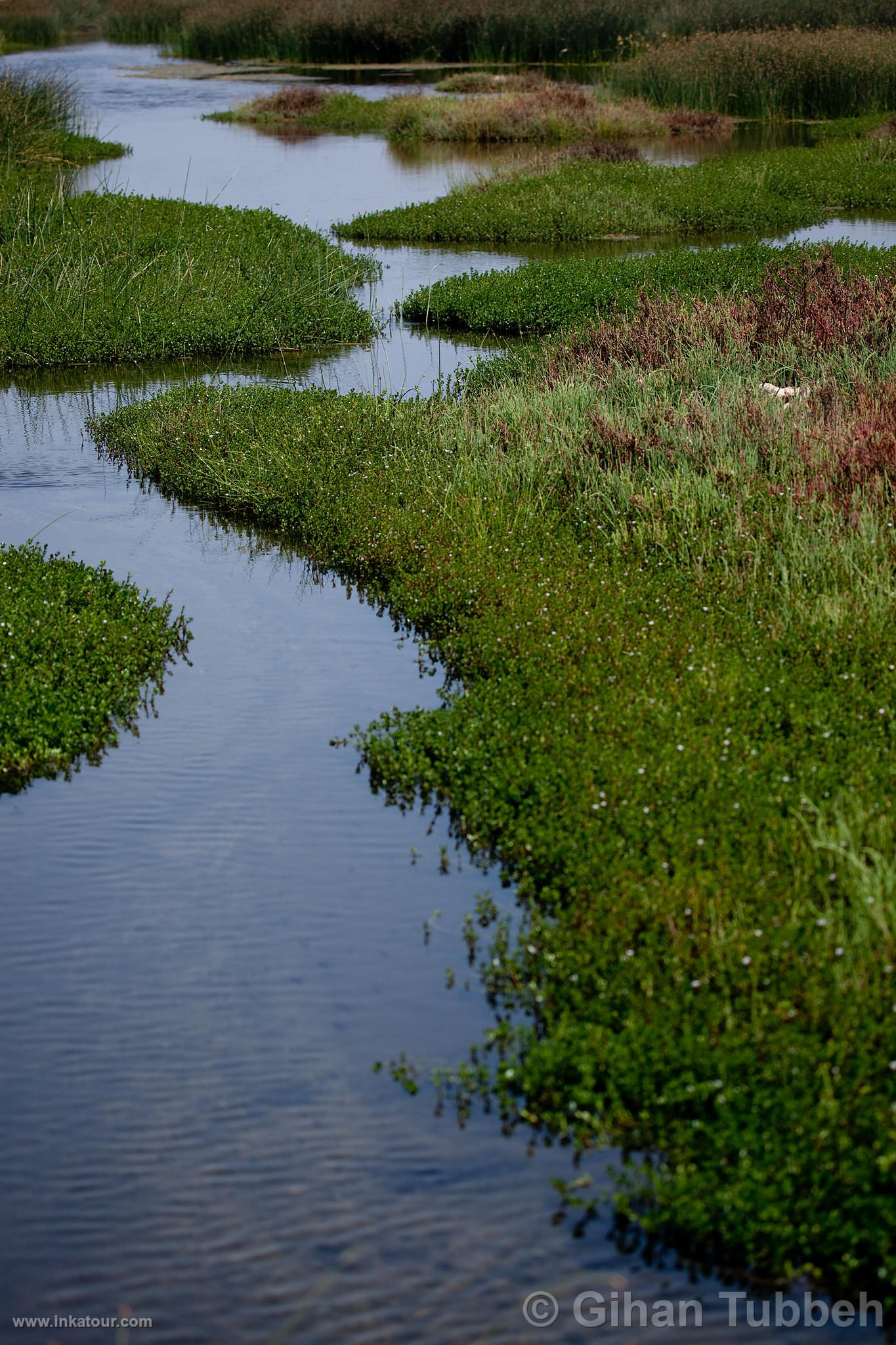 Photo of Peru