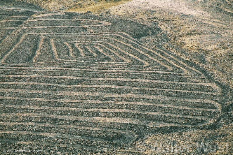 Nazca