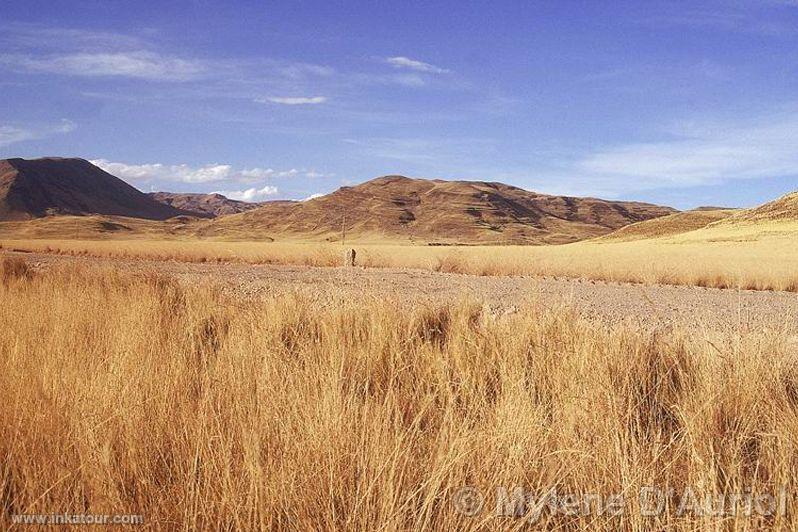 Photo of Peru