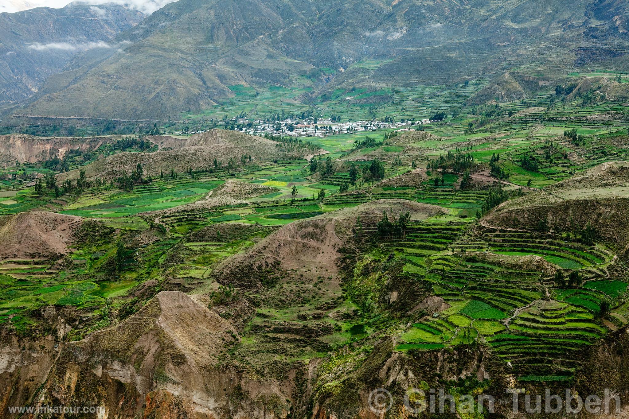 Colca Canyon