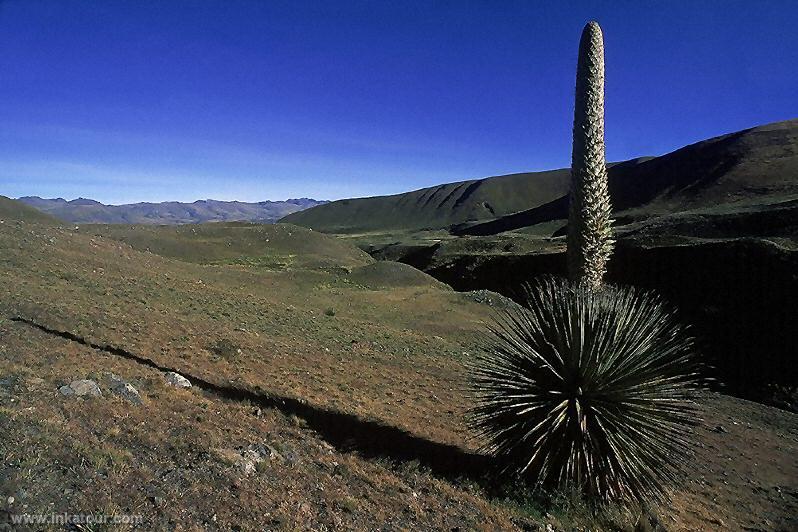 Photo of Peru