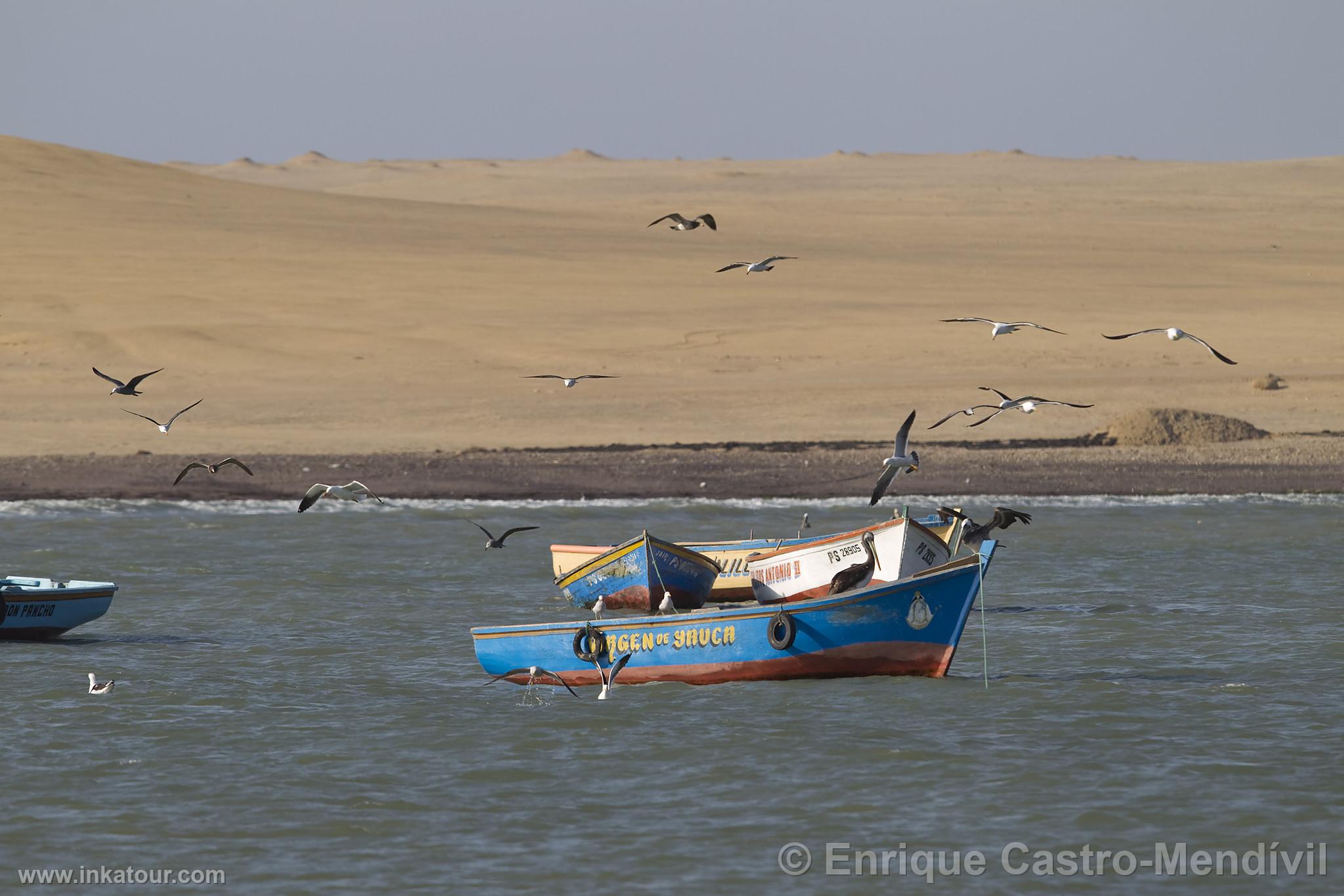 Photo of Peru