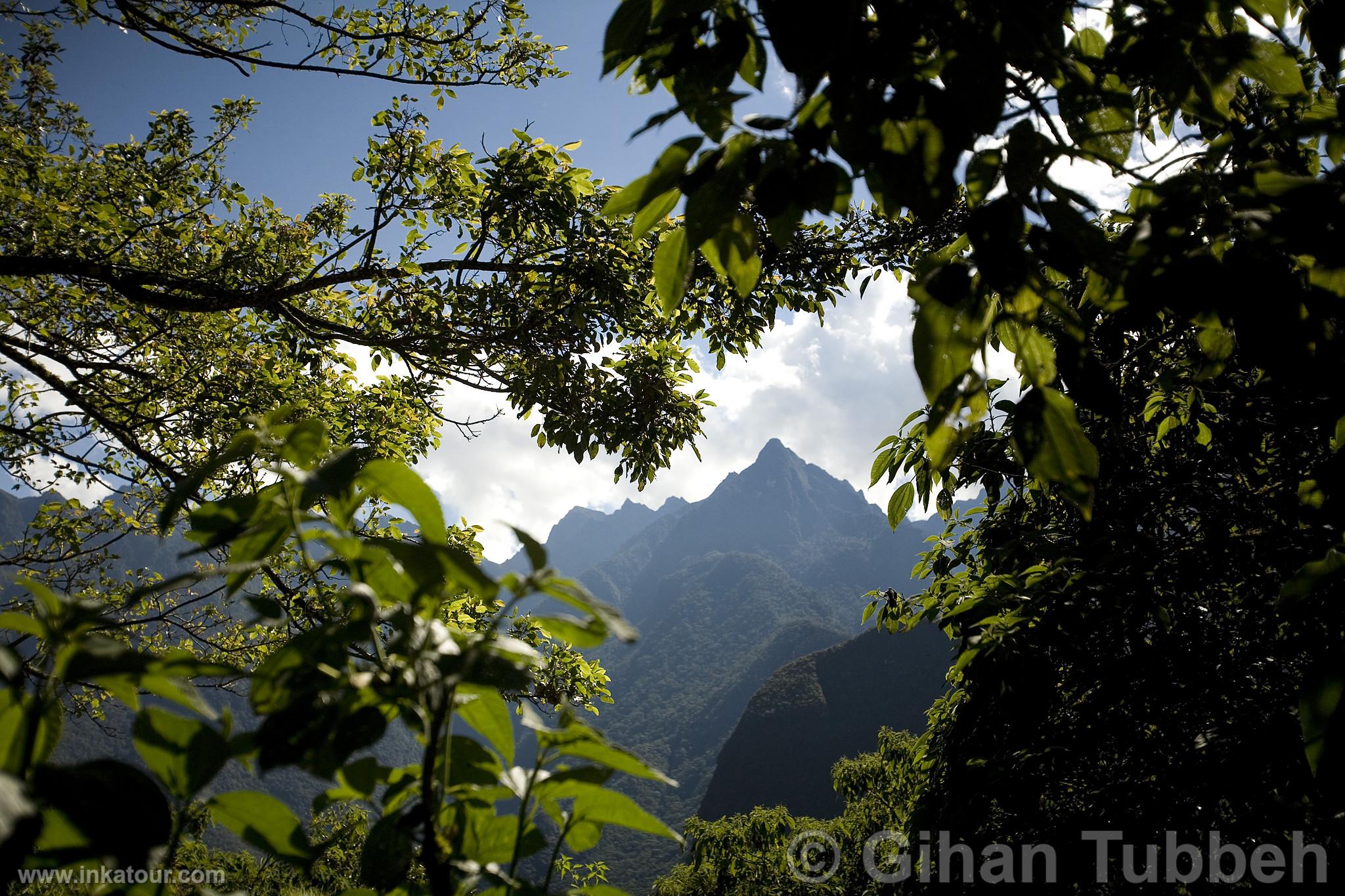 Entrance to Machu Picchu