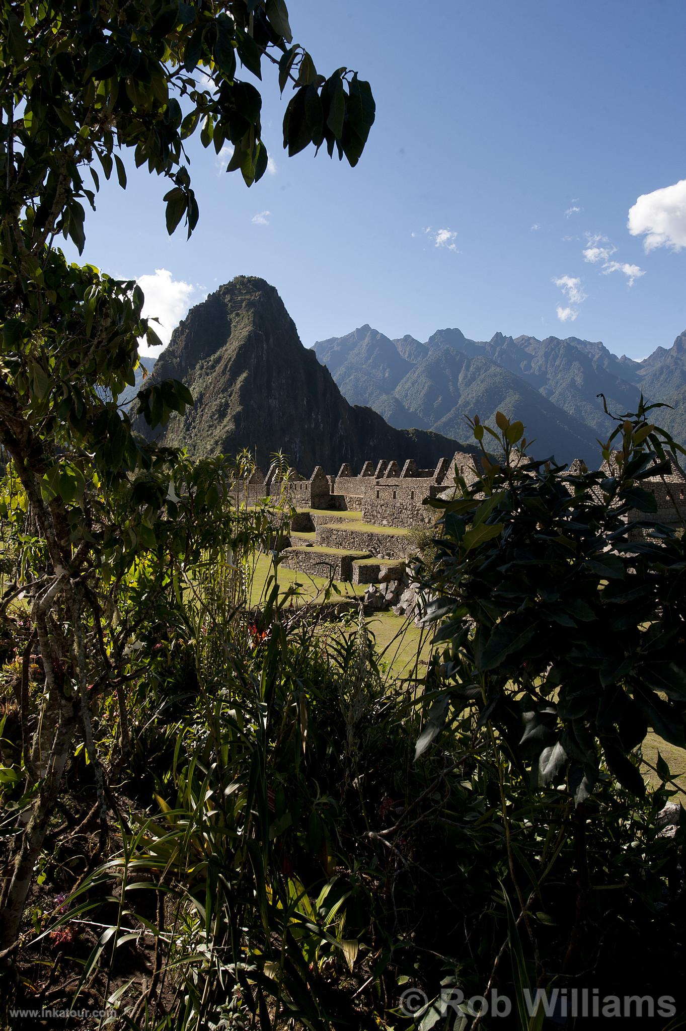 Citadel of Machu Picchu