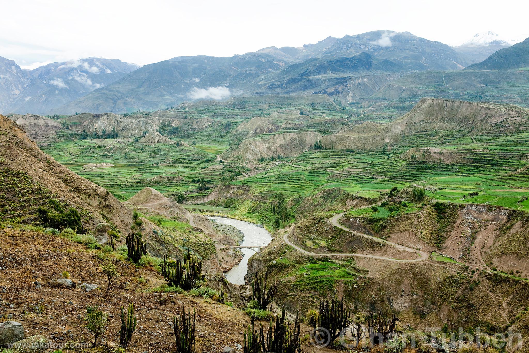 Colca Canyon