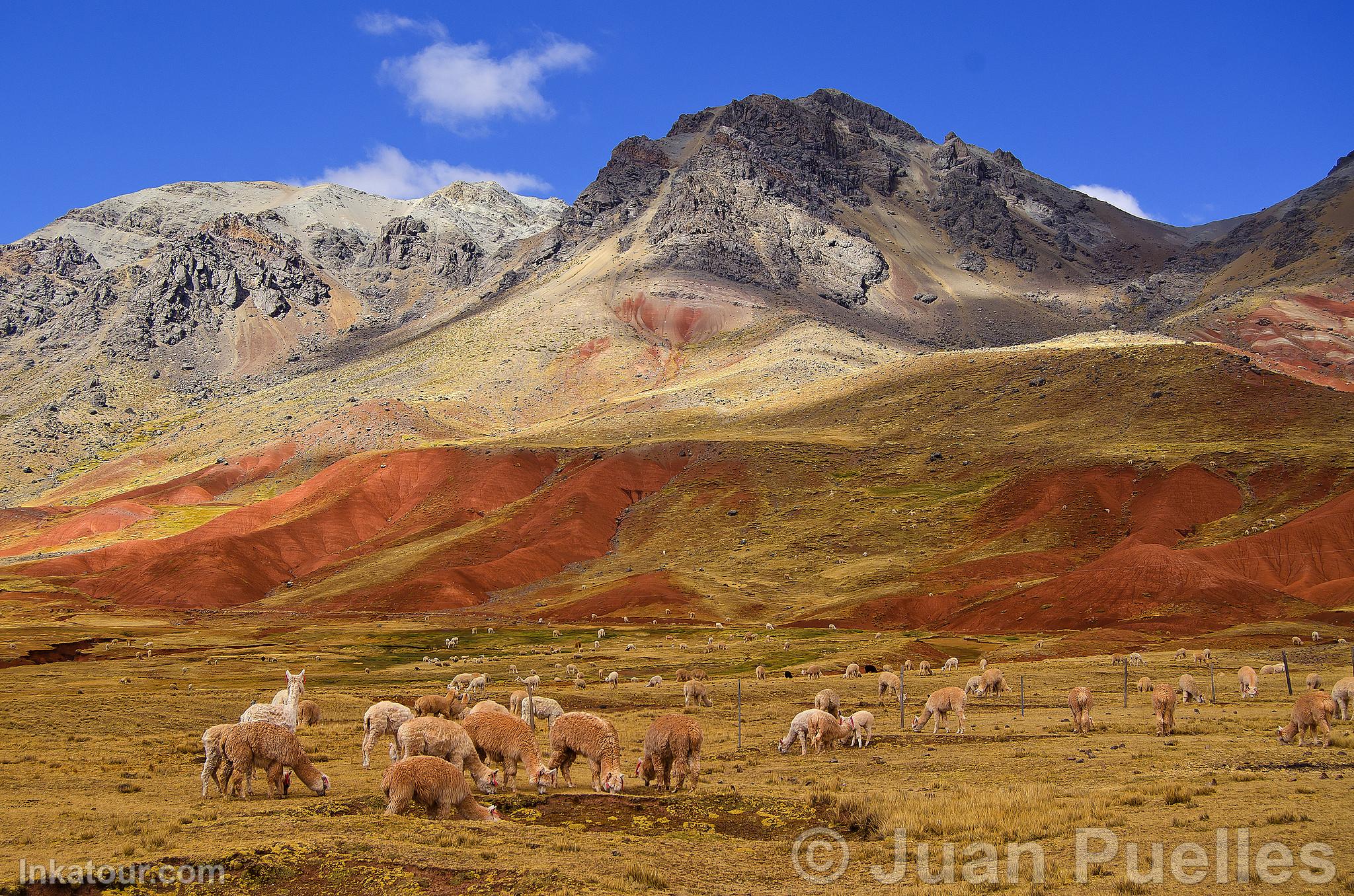 Photo of Peru