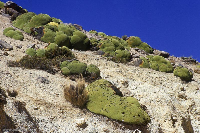 Photo of Peru