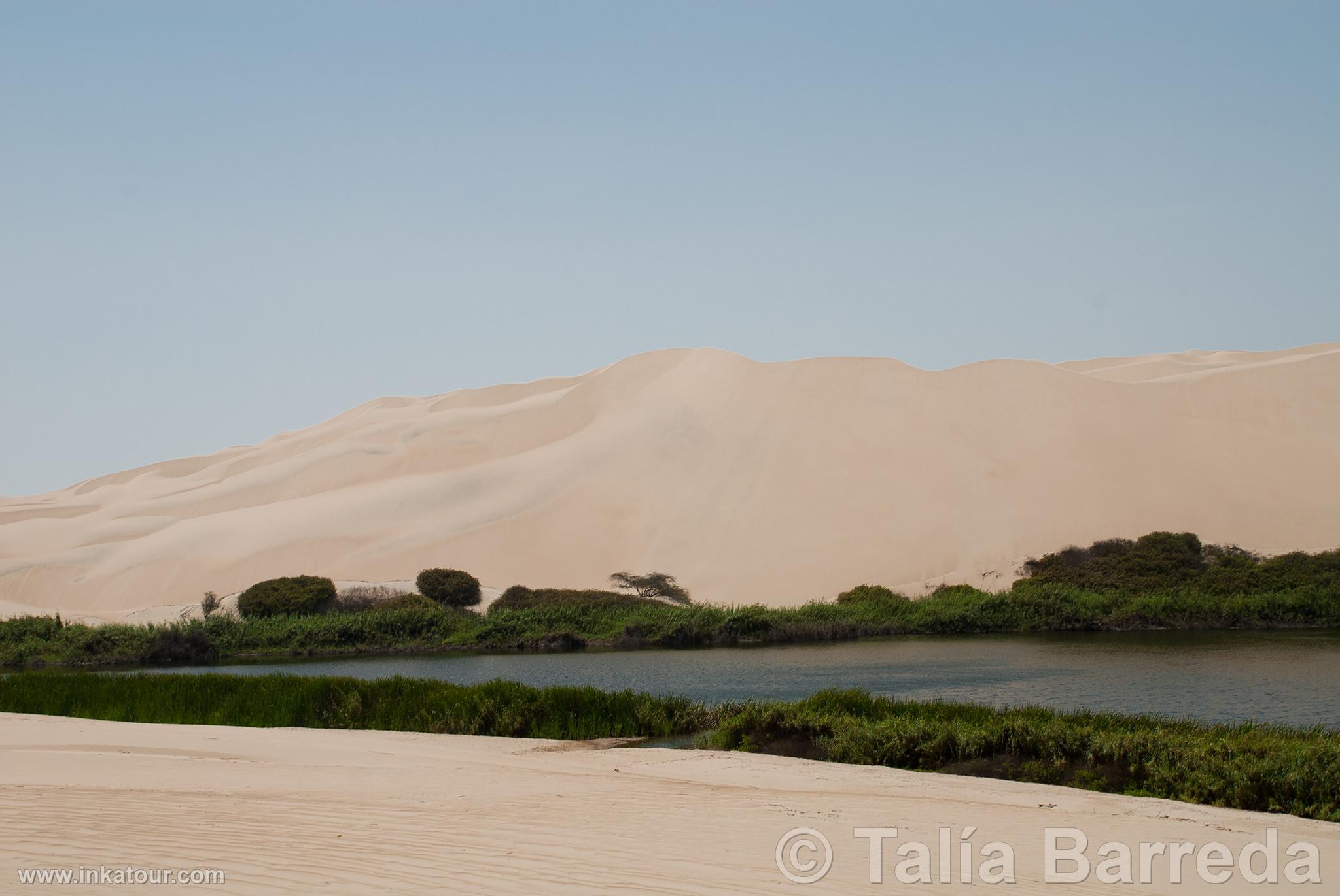 Photo of Peru