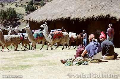 Photo of Peru