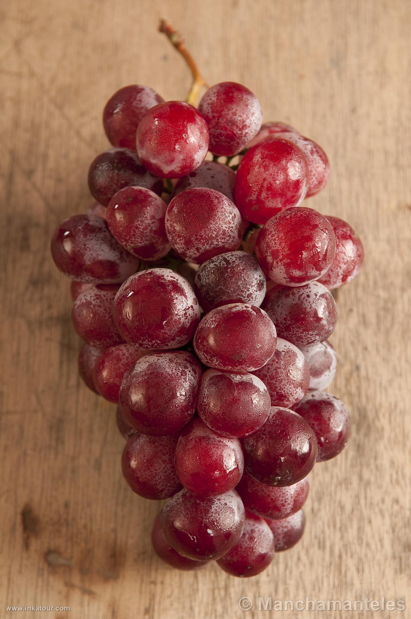 Red Globe Grape