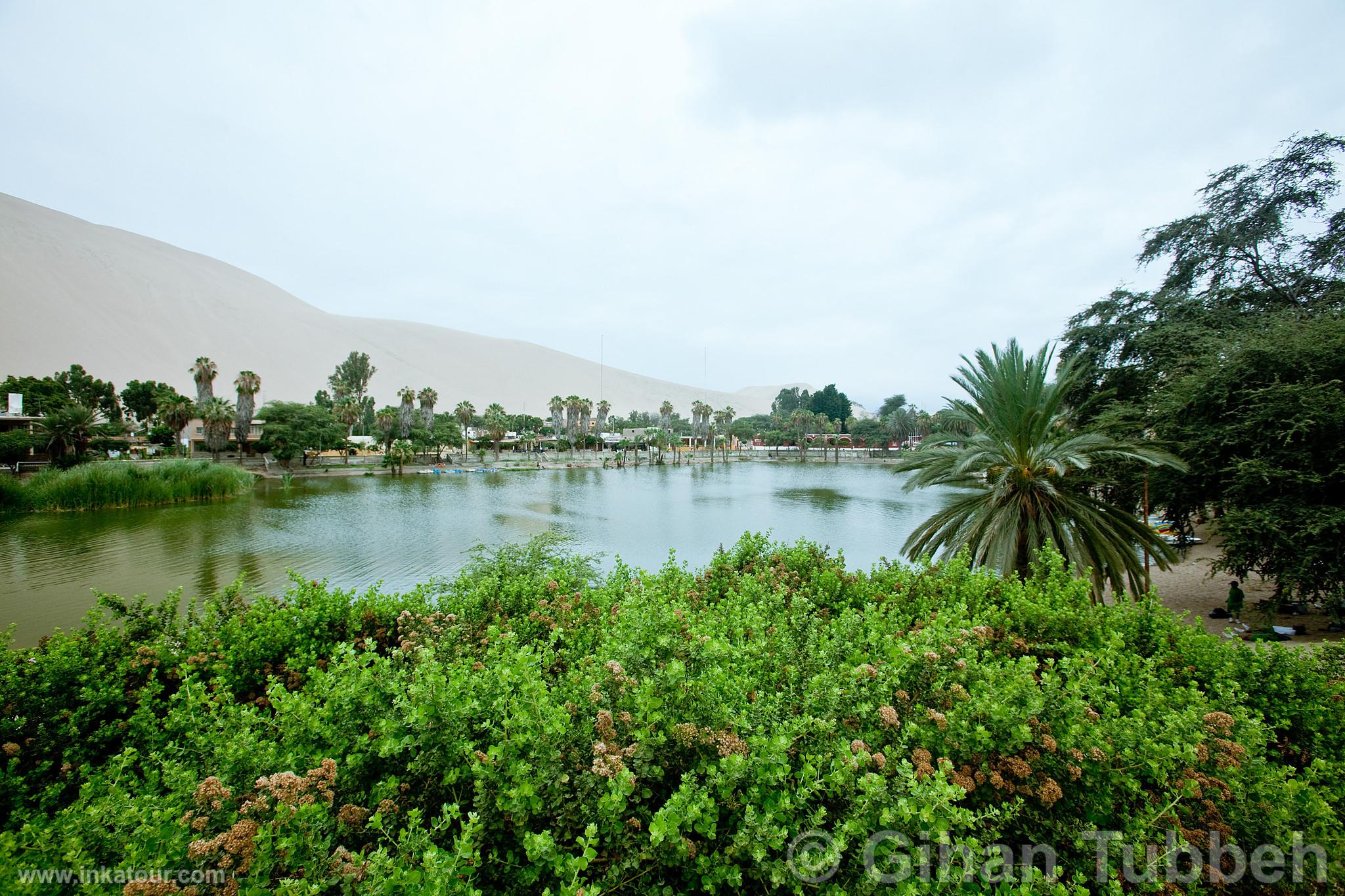 Lagoon of Huacachina