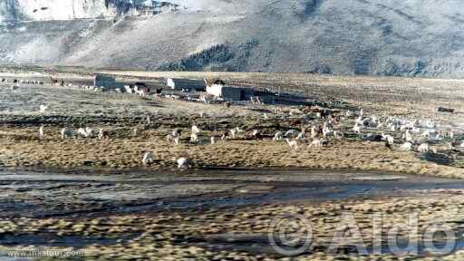 Photo of Peru