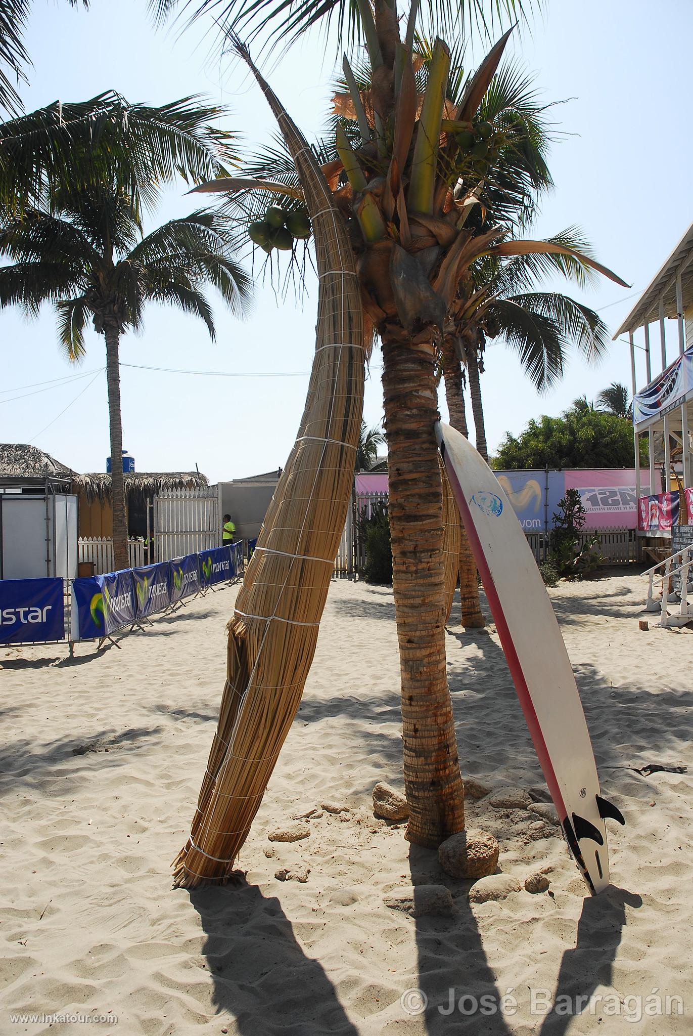 Totora Reed Boats