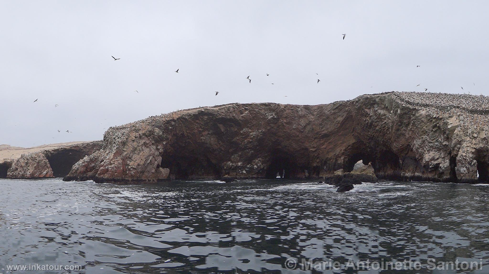 Ballestas, Paracas