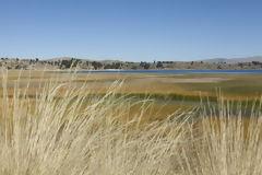 Titicaca Lake