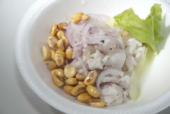 Northern Ceviche