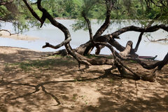 Cerros de Amotape National Park