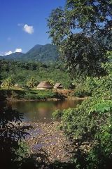 Hills in the Loreto Jungle