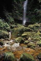 Ahuashiyacu Waterfall