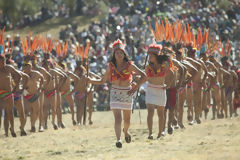 Inti Raymi celebration, Cuzco