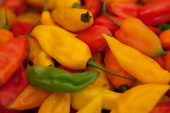 Varieties of Peppers