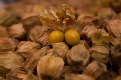 Goldenberry