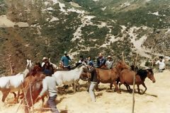 Threshing in the Credo, Llama