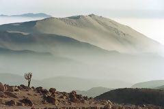 Pampa Galeras National Reserve, Ayacucho