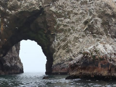 Ballestas, Paracas