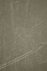 Nazca lines